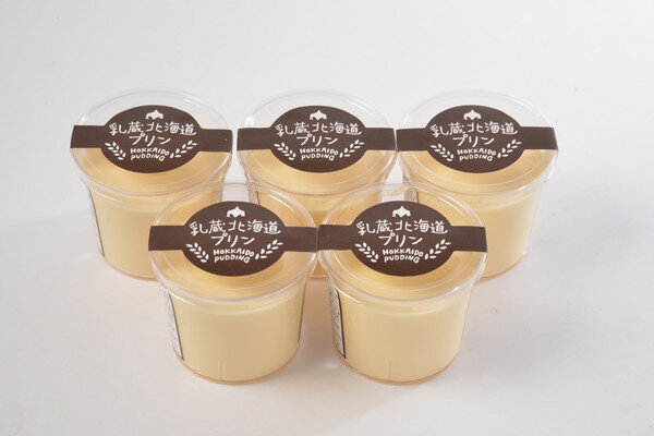 乳蔵 北海道プリン5個 ギフト 産直 ご当地グルメ 熨斗 贈り物 新生活 お祝い お取り寄せ のし対応 プレゼント 誕生日 (代引不可)【送料無料】