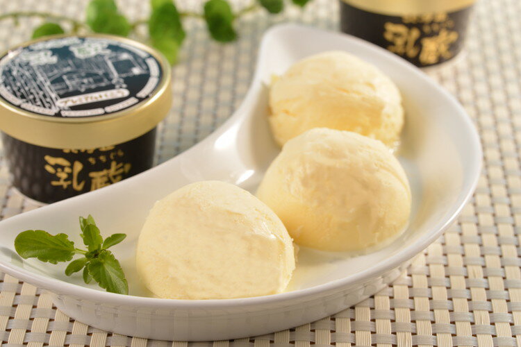 北海道 「乳蔵」 プレミアムバニラアイス8個 ギフト 産直 ご当地グルメ 熨斗 贈り物 新生活 お祝い お取り寄せ のし対応 (代引不可)【送料無料】