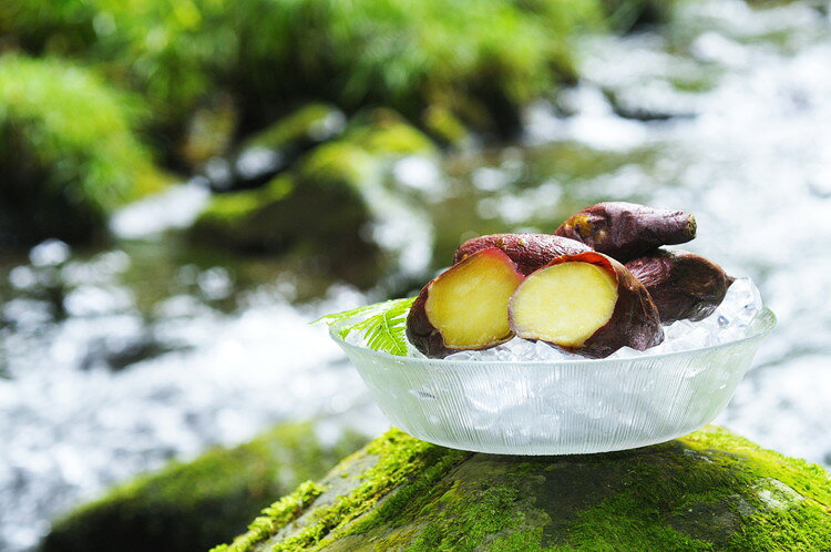 お中元 熊本 徳用蜜芋 「紅はるか」 ギフト 産直 ご当地グルメ 熨斗 贈り物 のし対応 プレゼント 誕生日 (代引不可)【送料無料】 rcmd-36402723 リコメン堂 サンプル画像2