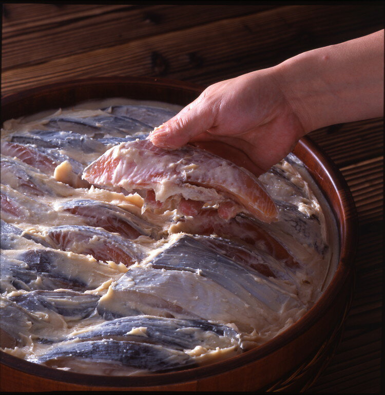 ���� ����Ȭ�� ��������� ��ǯ�� �ߥ��ե� ���� ���� ǯ�� ǯ�� �����󤻥���� �ץ쥼��� ���� �Τ� £��ʪ ���ˤ� �渫�� ����(����Բ�)������̵����