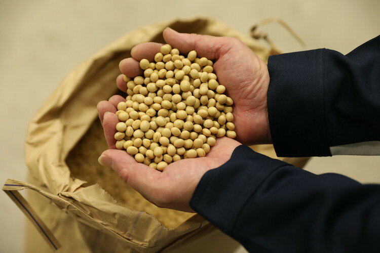 広島 寺岡有機醸造 寺岡家の有機醤油 調味料詰合せ ギフト 産直 ご当地グルメ 熨斗 贈り物 新生活 お祝い お取り寄せ のし対応 (代引不可)【送料無料】