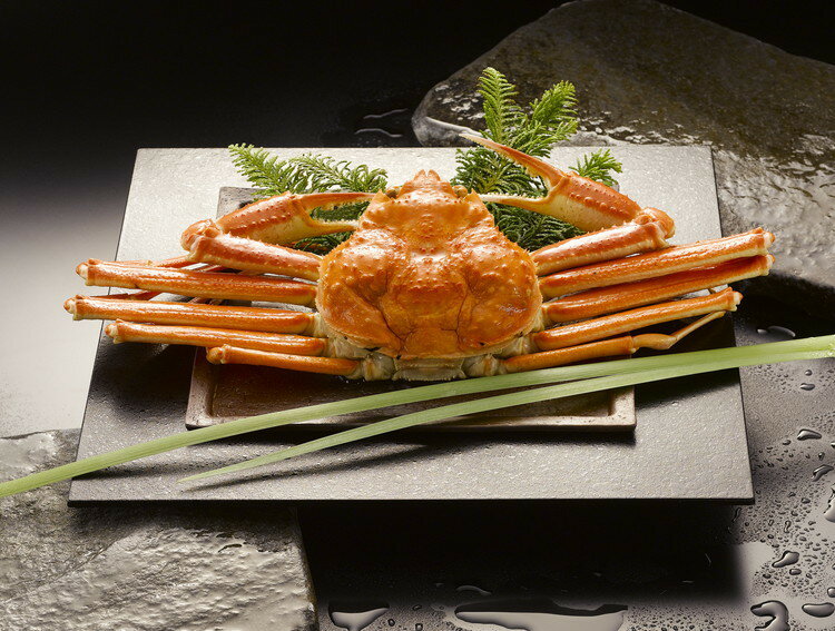 ボイルずわいがに姿 ギフト 産直 ご当地グルメ 熨斗 贈り物 新生活 お祝い お取り寄せ のし対応 プレゼント 誕生日 (代引不可)【送料無料】