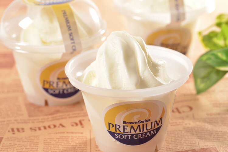 北海道 十勝ドルチェ 橋本牧場 プレミアムソフト スイーツ デザート ギフト 産直 ご当地グルメ 熨斗 贈り物 新生活 お祝い お取り寄せ のし対応 (代引不可)【送料無料】