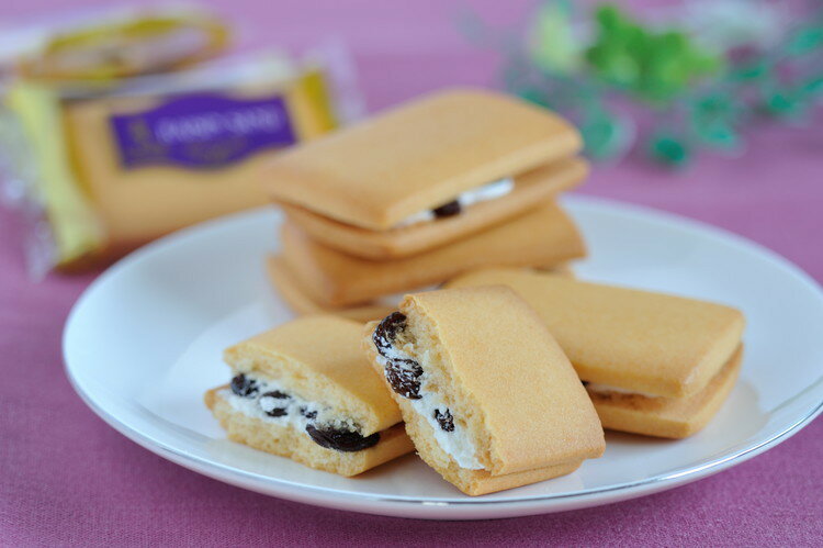 Ŵ�� ��湨�Դƽ� �졼���󥵥�� 12 ������ ��ǯ�� �ߥ��ե� ���� ���� ǯ�� ǯ�� �����󤻥���� �ץ쥼��� ���� �Τ� £��ʪ ���ˤ� �渫�� ����(����Բ�)������̵����