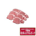 沖縄琉球ロイヤルポーク ロースステーキ計480g グルメ 人気 おすすめ ギフト 贈答 取り寄せ お取り寄せグルメ お取り寄せ 熨斗 のし 贈り物(代引不可)【ポイント10倍】【送料無料】