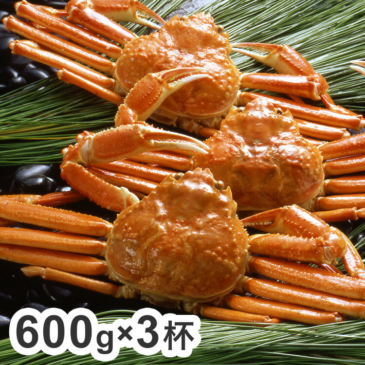 ボイル ずわいがに 蟹 姿 600g×3杯 カニ ズワイガニ お歳暮 冬ギフト 年末 年始 年末年始 お取り寄せグルメ プレゼント 熨斗 のし 贈り物 お祝い 冠婚葬祭 御見舞 食品(代引不可)【送料無料】(4.0)