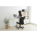IRIS 517663 メッシュバックチェア OFC-MB-B ブラック IRIS OFCMBB オフィス 住設用品 オフィス家具 オフィスチェア(代引不可)【...