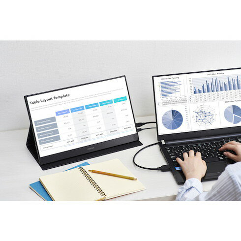 【中古】DELL P2419H プロフェッショナルシリーズ 23.8インチワイドモニタ