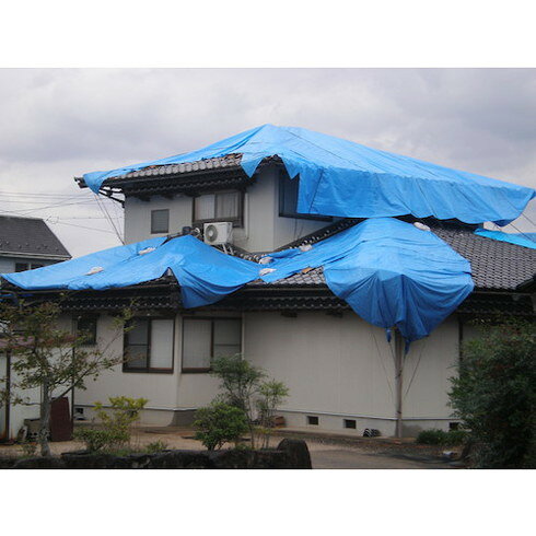 萩原 ターピー エコフレンドシート#3000 5.4m×9.0m 萩原 ECOFRI5490 梱包用品 シート ロープ ブルーシート(代引不可)【送料無料】