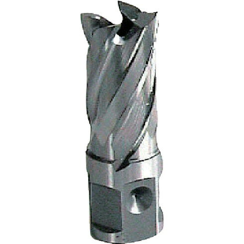 【商品スペック】特長●日東工器の磁器ボール盤にも装着可。●35SQ、50SQクリンキーカッターの小径タイプです。●小径でも欠け難いハイスタイプです。●有効切削能力25mm。（φ15以下は16mm）用途●被削材：鋼板、形鋼板等。仕様●刃径(mm)：12仕様2材質／仕上●SKH51（ハイス）セット内容／付属品注意【代引きについて】こちらの商品は、代引きでの出荷は受け付けておりません。【送料について】北海道、沖縄、離島は送料を頂きます。