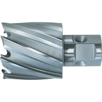 日東 ハイブローチ ワンタッチタイプ 35X25L 16235 NO.16235 切削工具 穴あけ工具 磁気ボール盤カッター(代引不可)【ポイント10倍】【送料無料】