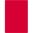 共栄プラスチック 色透明下敷 A4 レッド NO.1377R オフィス・住設用品 文房具 ノート(代引不可)【ポイント10倍】