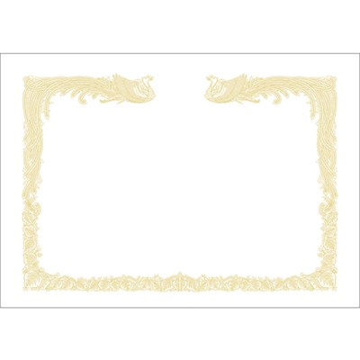 ササガワ OA賞状用紙 雲なし A3判縦書用 101480 オフィス・住設用品 文房具 各種用紙(代引不可)【ポイント10倍】【送料無料】