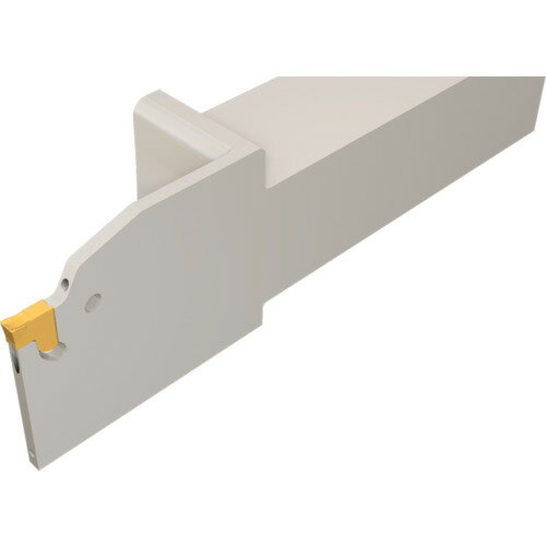 イスカル タンググリップ TGTR2020216081 切削工具 旋削 フライス加工工具 刃先交換式工具(代引不可)【送料無料】