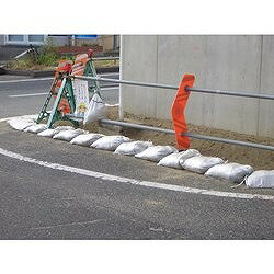 萩原 ターピー スーパー土のう(箱入り) ナチュラル 48cm×62cm 1Pk(200枚入) SP4862200CASE 工事 照明用品 土木作業 大工用品 土のう(代引不可)【送料無料】