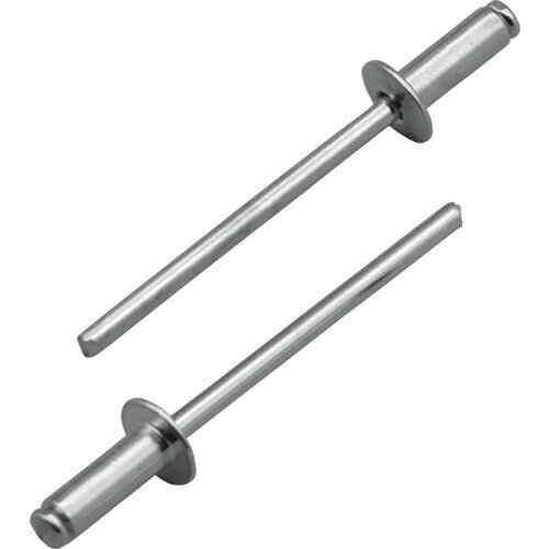 エビ ブラインドリベット(アルミ/スティール製)6-6(500本入) 箱入 NSA66A 金物 建築資材 ファスニングツール ブラインドリベット(代引不可)【送料無料】