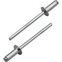 エビ ブラインドリベット(アルミ/スティール製)4-8(1000本入) 箱入 NSA48A 金物 建築資材 ファスニングツール ブラインドリベット(代引不可)【送料無料】(4)