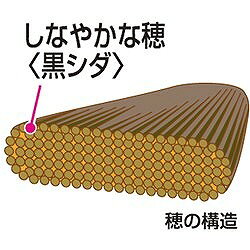azuma 長柄サンニワニワ レッド 229300650 清掃 衛生用品 清掃用品 ほうき チリトリ(代引不可)