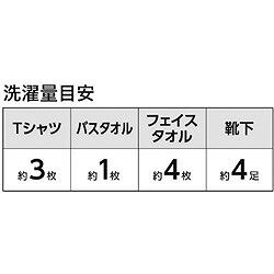 クリーンマスター 手回し洗たく機 36010 清掃 衛生用品 清掃用品 洗濯用品(代引不可)【送料無料】