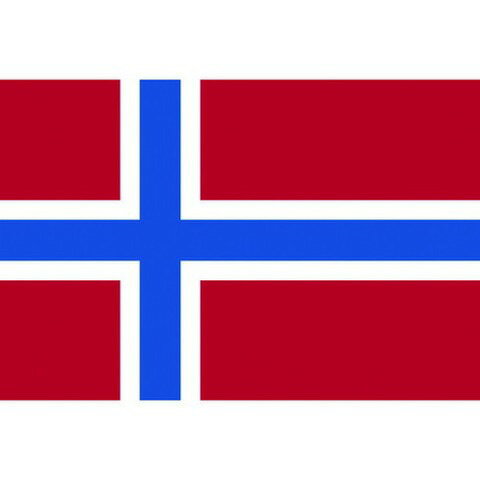東京製旗 国旗No.2(90×135cm) ノルウェ- 426581(代引不可)【送料無料】