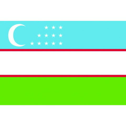 東京製旗 国旗No.2(90×135cm) ウズベキスタン 426144(代引不可)【送料無料】
