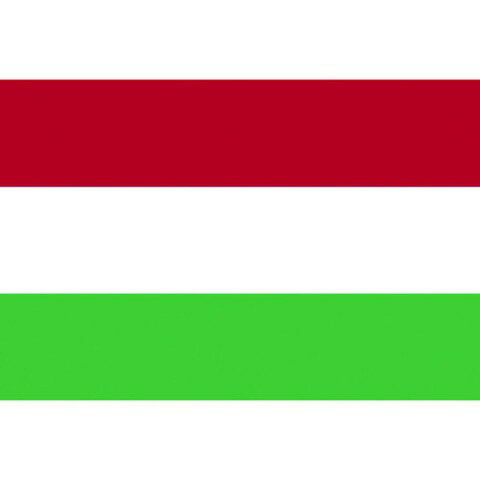 東京製旗 国旗No.2(90×135cm) ハンガリー 426614(代引不可)【送料無料】