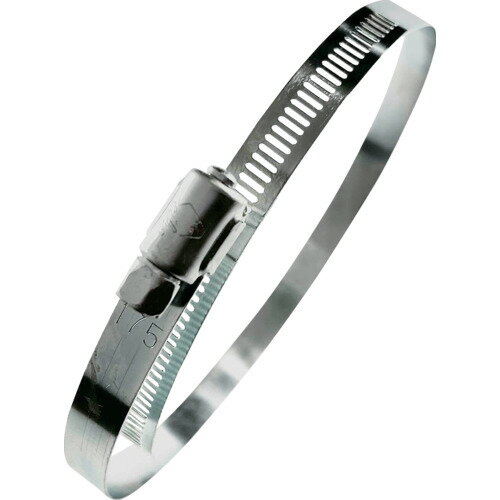 Seiho ホースバンド ハイウォーム13mm幅X最大175mm(鉄製) 正峰工業 園芸用品 ホース 散水用品 ホースバンド HY-175(代引不可)