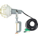 日動 レフ球投光器 100V 300W 10m アース付 AFE310100V(代引不可)【送料無料】