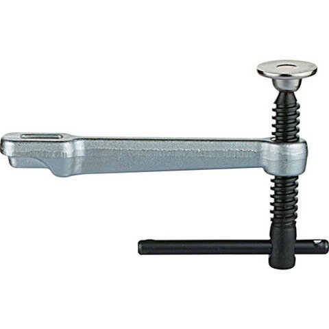 TRUSCO トラスコ エホマクランプ レール幅19.5mmフトコロ100mm用ハンドル 1910AST(代引不可)