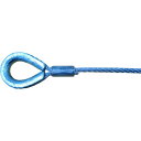 HHH 交換用ワイヤー HHH KW10 荷役用品 ウインチ ジャッキ ウインチ(電動式)(代引不可)【送料無料】