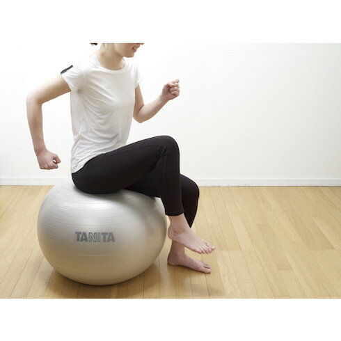 TANITA TANITA ����ܡ��� TS-962-SV TANITA TS962SV ���� �������� ϫƯ�������� ��¥������(����Բ�)