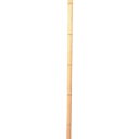 伝蔵 竹 建仁寺 1.8M 伝蔵 J022 園芸用品 緑化用品 園芸支柱 園芸ネット(代引不可)