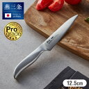 プログレード 日本製 燕三条 ペティナイフ 12.5cm 食洗機対応 オールステンレス 鋭い切れ味 モリブデンバナジウム鋼使用 ナイフ キッチンナイフ 果物ナイ...