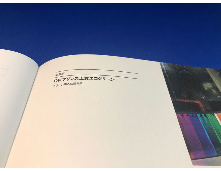 リコメン堂の王子製紙 コピー用紙 コピー紙 再生上質紙 100枚パック B5 Y 157g(135kg) OKプリンス上質エコグリーン 王子製紙 再生上質紙(代引不可)【送料無料】【メール便配送】｜アングル3