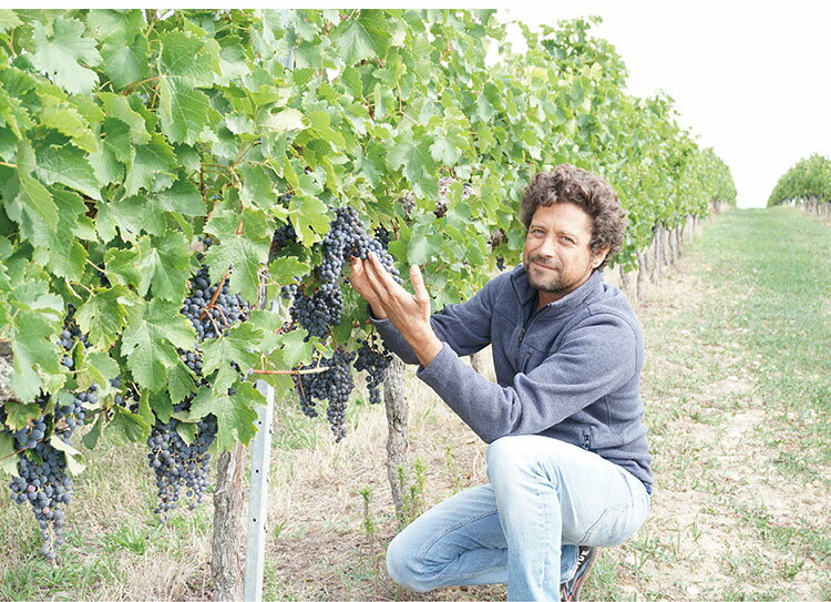 【12本セット】グラン・ベロ ルージュ 赤ワイン フランス フランスワイン ボルドー Bordeaux 金賞 グランベロ Grand Bellot 750ml 瓶 コルク ワイン ケース まとめ売り まとめ買い【ポイント10倍】【送料無料】 3