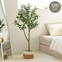 roommhome オリーブの木 120cm フェイクグリーン 人工観葉植物 造花 観葉樹 室内 観葉植物 オリーブ グリーン ルームアンドホーム(代引不可)【送料無料】