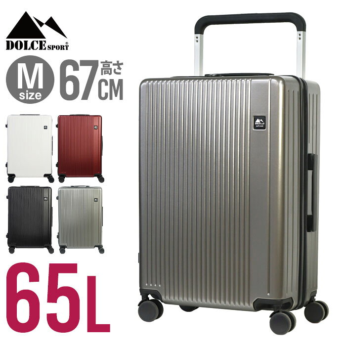 Carry Cases - スーツケース Mサイズ 65L ポリカーボネート TSAロック キャリーケース キャリーバッグ トラベル 旅行バッグ 海外(代引不可)【送料無料】