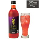 オホーツク 網走 山葡萄サワーの素 1ケース 500ml 12本 リキュール サワー ブドウサワー 網走ビール 北海道 網走 クラフトビール 日本 国産 瓶 炭...