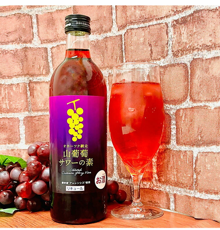 オホーツク 網走 山葡萄サワーの素 1ケース 500ml 12本 リキュール サワー ブドウサワー 網走ビール 北海道 網走 クラフトビール 日本 国産 瓶 炭酸 チューハイ(代引不可)【送料無料】 2