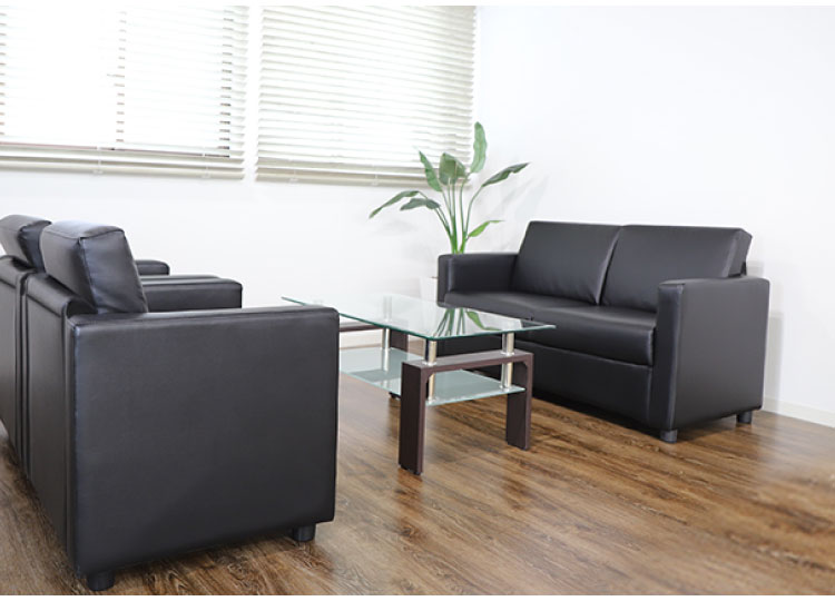 応接ソファ 2人掛け シャルマン3 ソファ 2人用 2人掛けソファー 応接用ソファ ロビーチェア 待合室 椅子 業務用 おしゃれ 銀行 オフィス家具(代引不可)【送料無料】 [3]