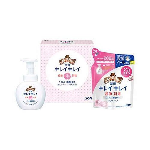 【5セット】 ライオン キレイキレイ泡ハンドソープセット キレイキレイ薬用泡ハンドソープ(250ml)・薬用泡ハンドソープ詰め替え(200ml) 22538801X5【送料無料】 【5セット】 ライオン キレイキレイ泡ハンドソープセット キレイキレイ薬用泡ハンドソープ(250ml)・薬用泡ハンドソープ詰め替え(200ml) 22538801X5【送料無料】