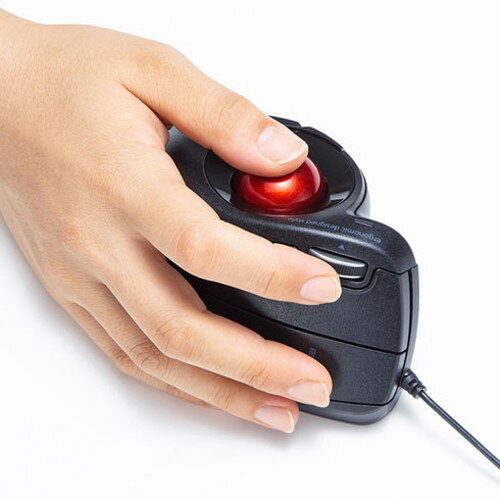 サンワサプライ 有線エルゴトラックボール MA-TB177BK(代引不可)【送料無料】