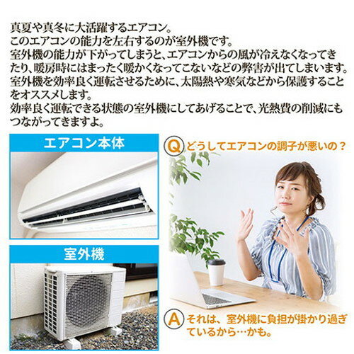 �����֡���������ȥ꡼ �������󼼳����Ѽ�Ǯ������ 3���� 812921(����Բ�)