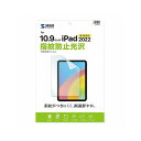 TTvC Apple 10iPad10.9C`ptیwh~tB LCD-IPAD22KFP(s)yz