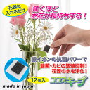 後藤 生け花イキイキ!ココスキープ(12個入) 870329(代引不可)【メール便配送】【送料無料】