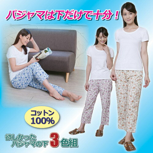 昭光プラスチック製品 欲しかったパジャマの下　3色組　L 8091672 雑貨 雑貨品(代引不可)