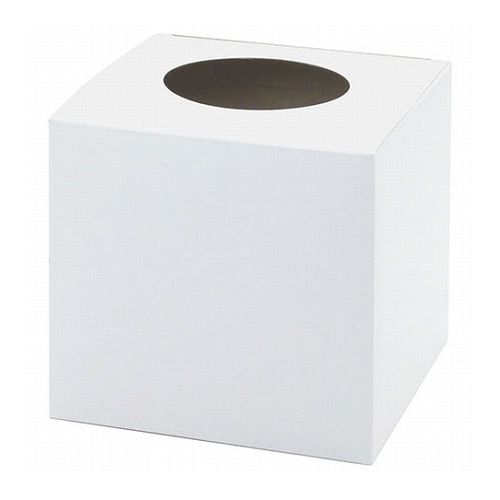 抽選箱 小 白 22458805 雑貨 ホビー インテリア 雑貨 雑貨品(代引不可)【メール便配送】【送料無料】