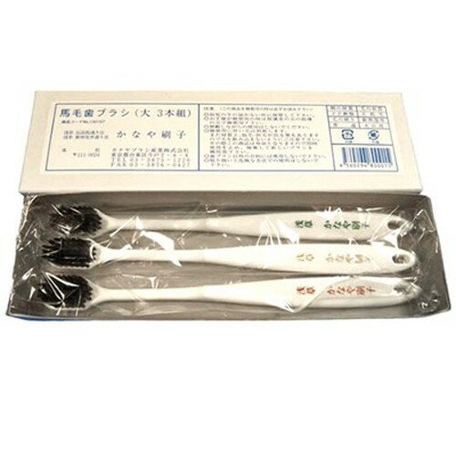 カナヤブラシ産業 歯ブラシ 馬毛 大 1箱 3本入 kanayabrush00015 衛生用品(代引不可)【メール便配送】【送料無料】
