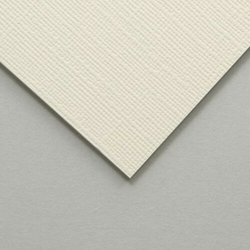 【20個セット】 ARTEC キャンバスボードSX SM ATC133043X20 雑貨(代引不可)【送料無料】