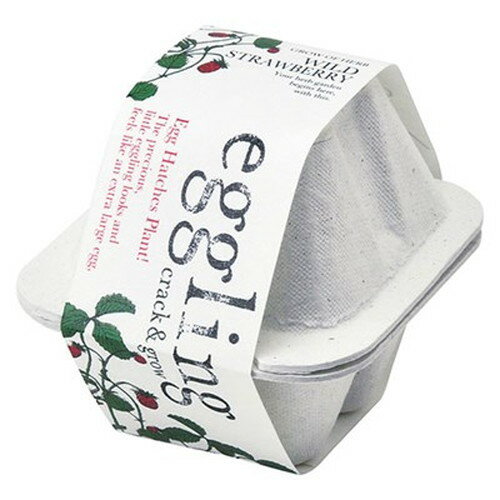 【5個セット】 エッグリングエコフレンドリー ワイルドストロベリー 22455814X5 雑貨(代引不可)